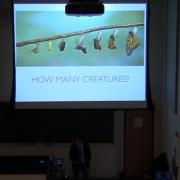 Are Children Human? Evidence from Language Acquisition: Part I